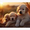 flat750x075f pad750x1000f8f8f8.u2 2 - Golden Retriever Gifts