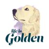 flat750x075f pad750x750f8f8f8 31 - Golden Retriever Gifts