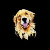 flat750x075f pad750x750f8f8f8 32 - Golden Retriever Gifts