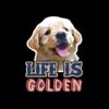 flat750x075f pad750x750f8f8f8 44 - Golden Retriever Gifts