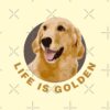 flat750x075f pad750x750f8f8f8 6 - Golden Retriever Gifts