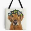 tb1040x1040large c1198800800 bgf8f8f8.u8 13 - Golden Retriever Gifts