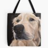 tb1040x1040large c1198800800 bgf8f8f8.u8 25 - Golden Retriever Gifts