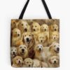 tb1040x1040large c1198800800 bgf8f8f8.u8 3 - Golden Retriever Gifts