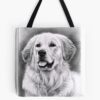 tb1040x1040large c1198800800 bgf8f8f8.u8 36 - Golden Retriever Gifts