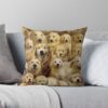 throwpillowsmall1000x bgf8f8f8 c020010001000 13 - Golden Retriever Gifts