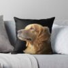 throwpillowsmall1000x bgf8f8f8 c020010001000 16 - Golden Retriever Gifts