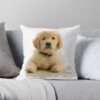 throwpillowsmall1000x bgf8f8f8 c020010001000 50 - Golden Retriever Gifts