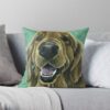 throwpillowsmall1000x bgf8f8f8 c020010001000 64 - Golden Retriever Gifts