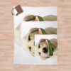 urblanket comparesquarex1000.1u2 6 - Golden Retriever Gifts