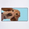 urdesk mat flatlaysquare1000x1000 27 - Golden Retriever Gifts