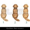 il fullxfull.3227427663 jgt8 - Golden Retriever Gifts