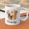 il fullxfull.4842247694 olkt 1 - Golden Retriever Gifts