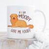 il fullxfull.5213689105 7iy5 - Golden Retriever Gifts