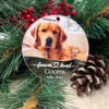 il fullxfull.5459140675 9rzp - Golden Retriever Gifts