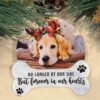 il fullxfull.5470129933 cslc - Golden Retriever Gifts