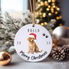 il fullxfull.5502598627 9xue - Golden Retriever Gifts