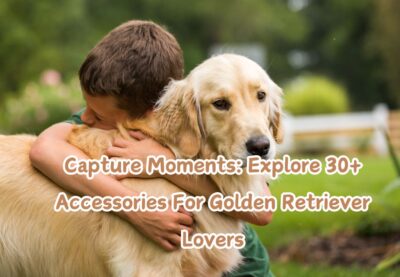 Capture Moments_ Explore 30+ Accessories For Golden Retriever Lovers