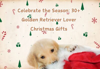 Celebrate the Season_ 30+ Golden Retriever Lover Christmas Gifts