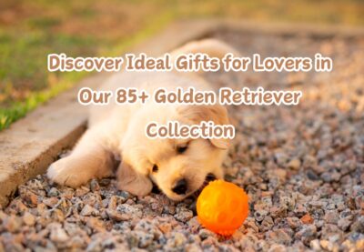 Discover Ideal Gifts for Lovers in Our 85+ Golden Retriever Collection