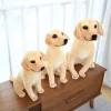 New Lifelike Dog Plush Stuffed Animal Realistic Plushie Golden Retriever Puppy Toy Gifts For Kids Kawaii 2 - Golden Retriever Gifts