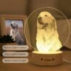 il 1000xN.2611550446 pbeu - Golden Retriever Gifts