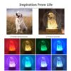 il 1000xN.2611550448 632n - Golden Retriever Gifts