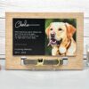 il 1000xN.5484191304 c5v1 - Golden Retriever Gifts