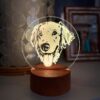 il 1000xN.5974205144 10bm - Golden Retriever Gifts