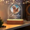 il 1000xN.6051760634 lav4 - Golden Retriever Gifts