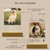 il 1000xN.6118007194 gxm4 - Golden Retriever Gifts