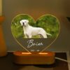 il 1000xN.6213168463 a8t4 - Golden Retriever Gifts